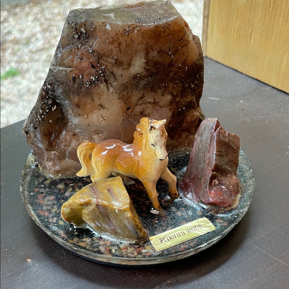 Vintage Petrified Wood Paperweight In‎ Lucite Souvenir From The Petrified Forest